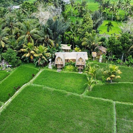 Kawig Bamboo House - Ricefield View, Eco Bamboo Home Tampaksiring Zewnętrze zdjęcie