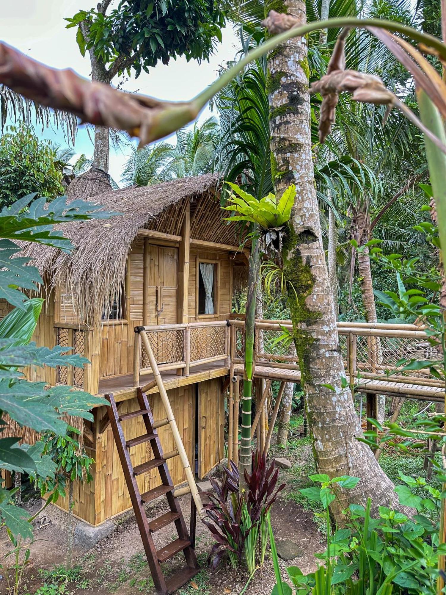 Kawig Bamboo House - Ricefield View, Eco Bamboo Home Tampaksiring Zewnętrze zdjęcie