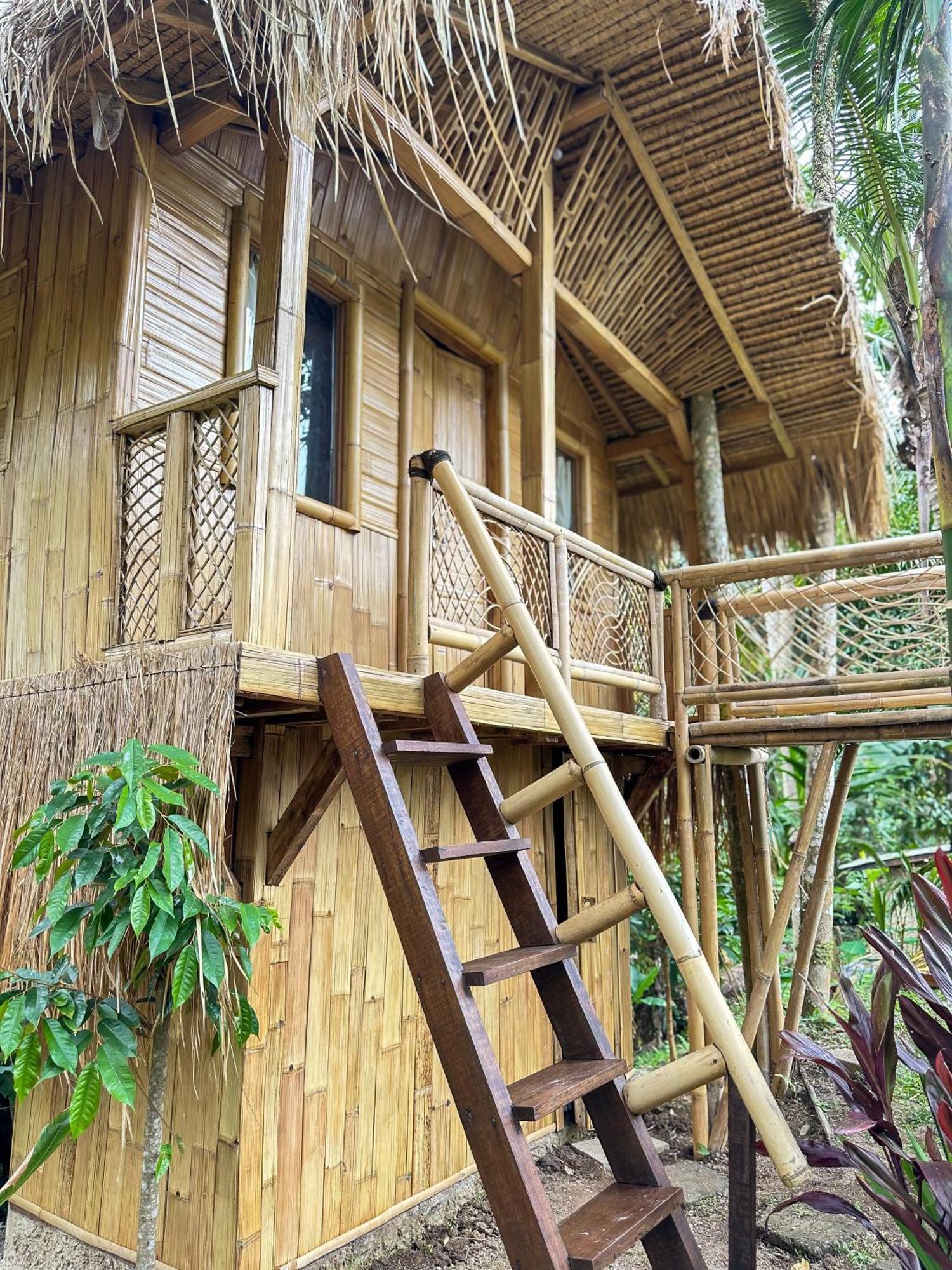 Kawig Bamboo House - Ricefield View, Eco Bamboo Home Tampaksiring Zewnętrze zdjęcie