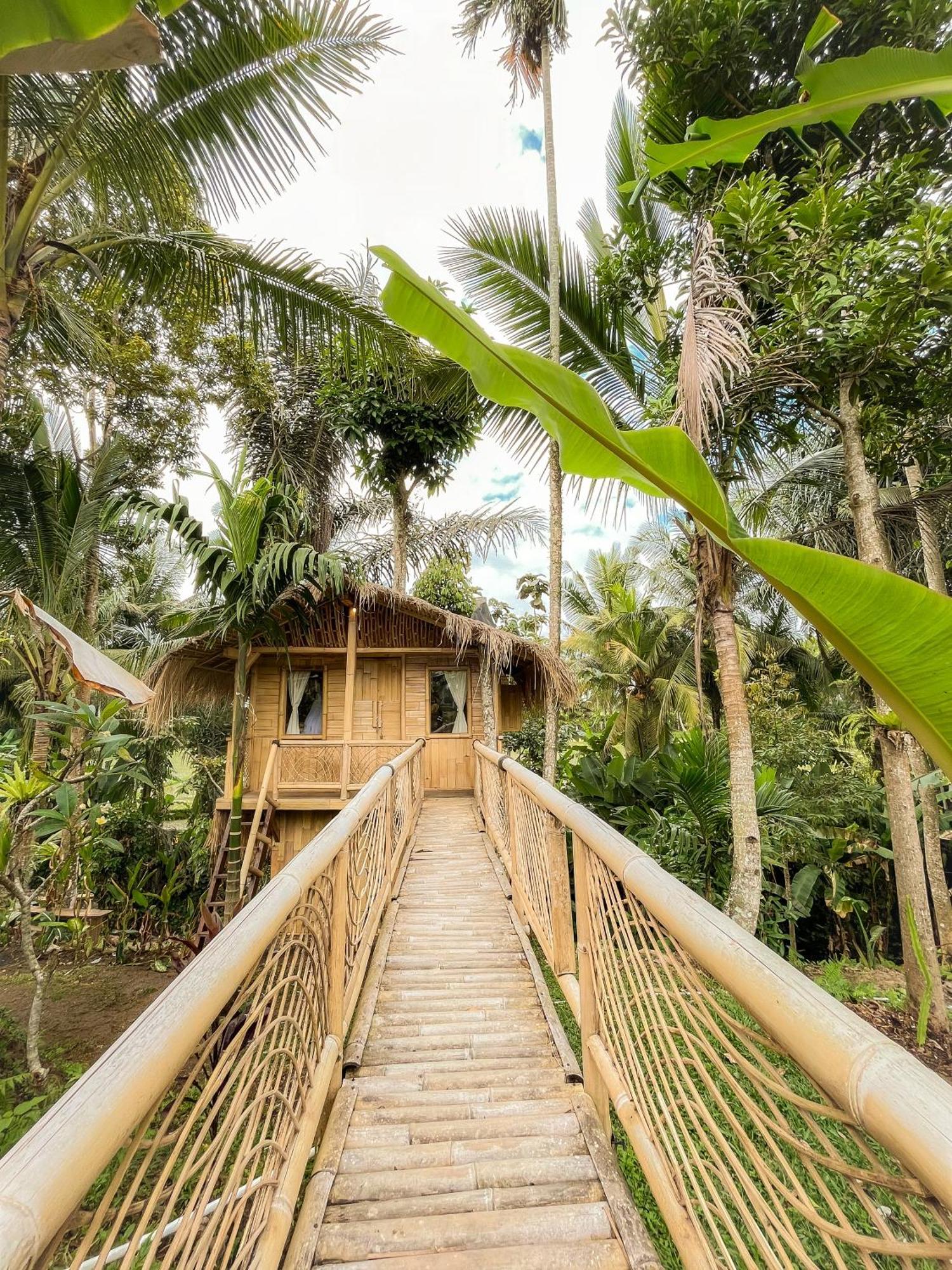 Kawig Bamboo House - Ricefield View, Eco Bamboo Home Tampaksiring Zewnętrze zdjęcie