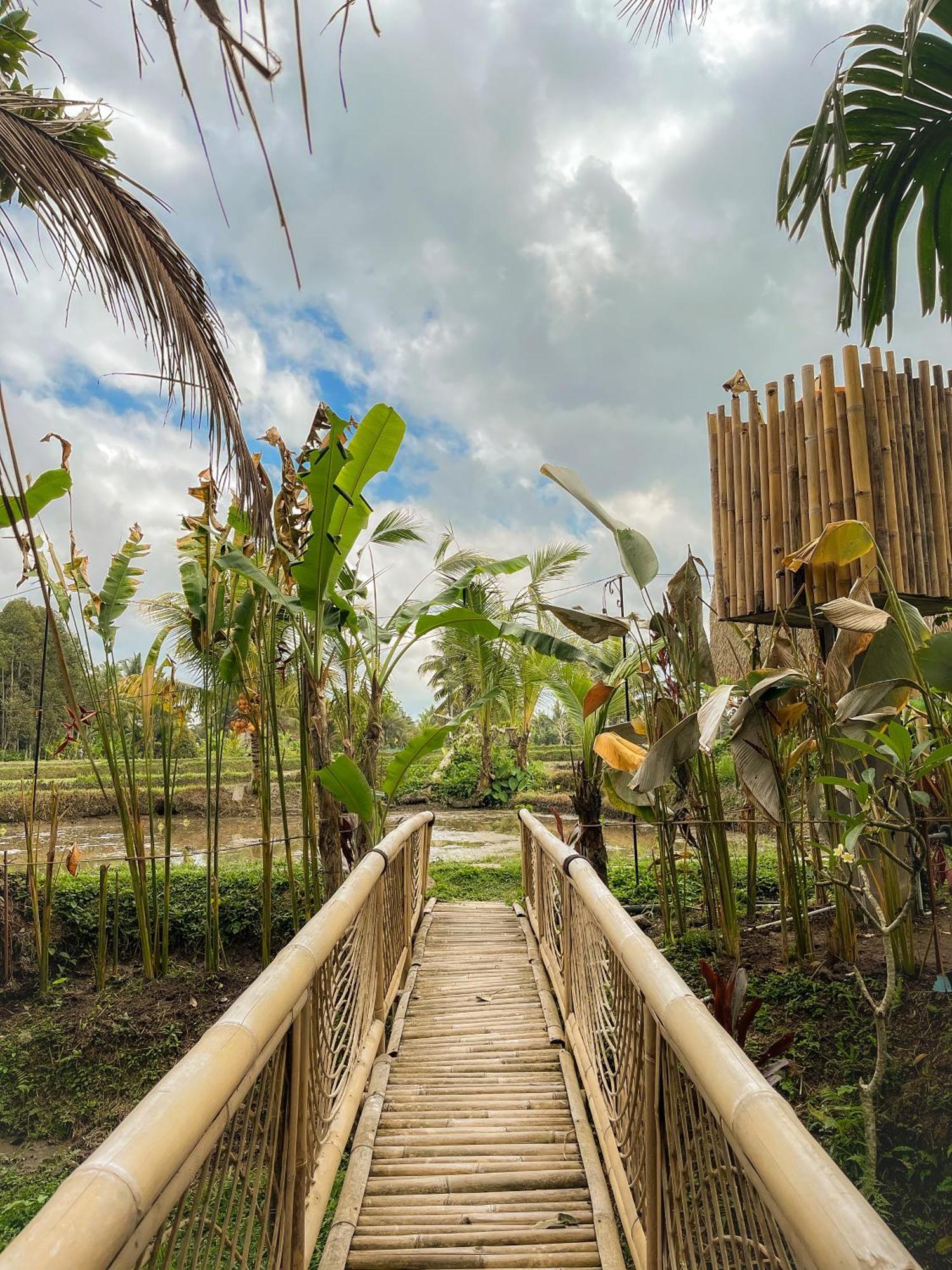 Kawig Bamboo House - Ricefield View, Eco Bamboo Home Tampaksiring Zewnętrze zdjęcie
