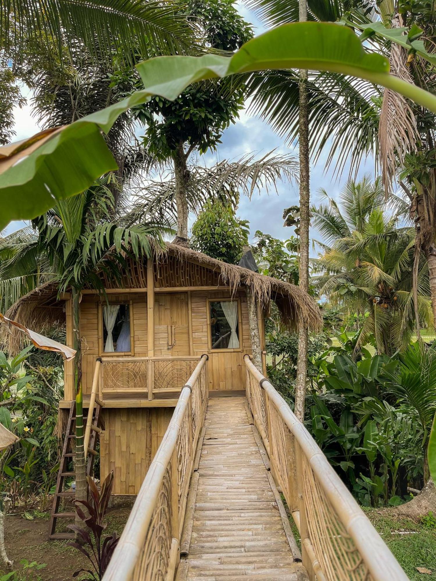 Kawig Bamboo House - Ricefield View, Eco Bamboo Home Tampaksiring Zewnętrze zdjęcie