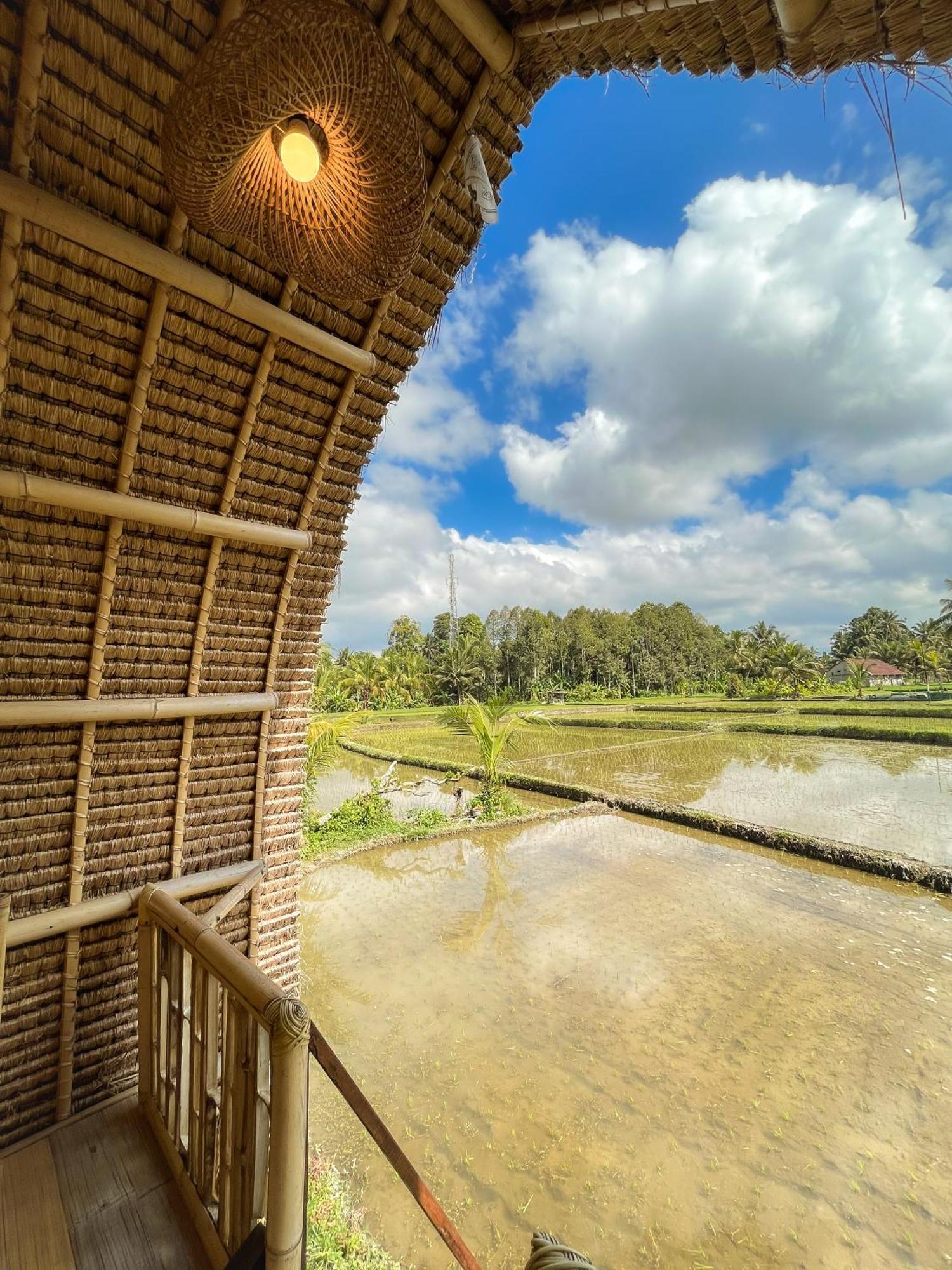 Kawig Bamboo House - Ricefield View, Eco Bamboo Home Tampaksiring Zewnętrze zdjęcie