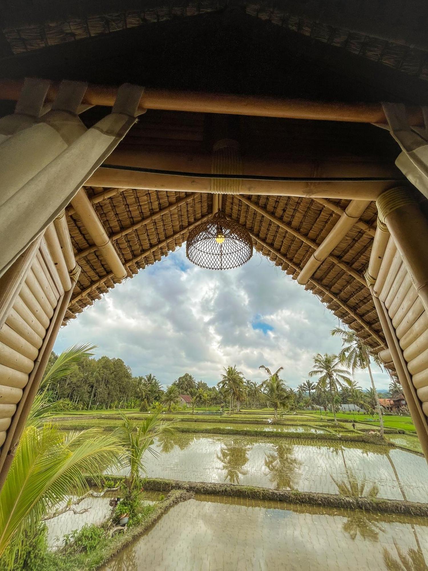 Kawig Bamboo House - Ricefield View, Eco Bamboo Home Tampaksiring Zewnętrze zdjęcie