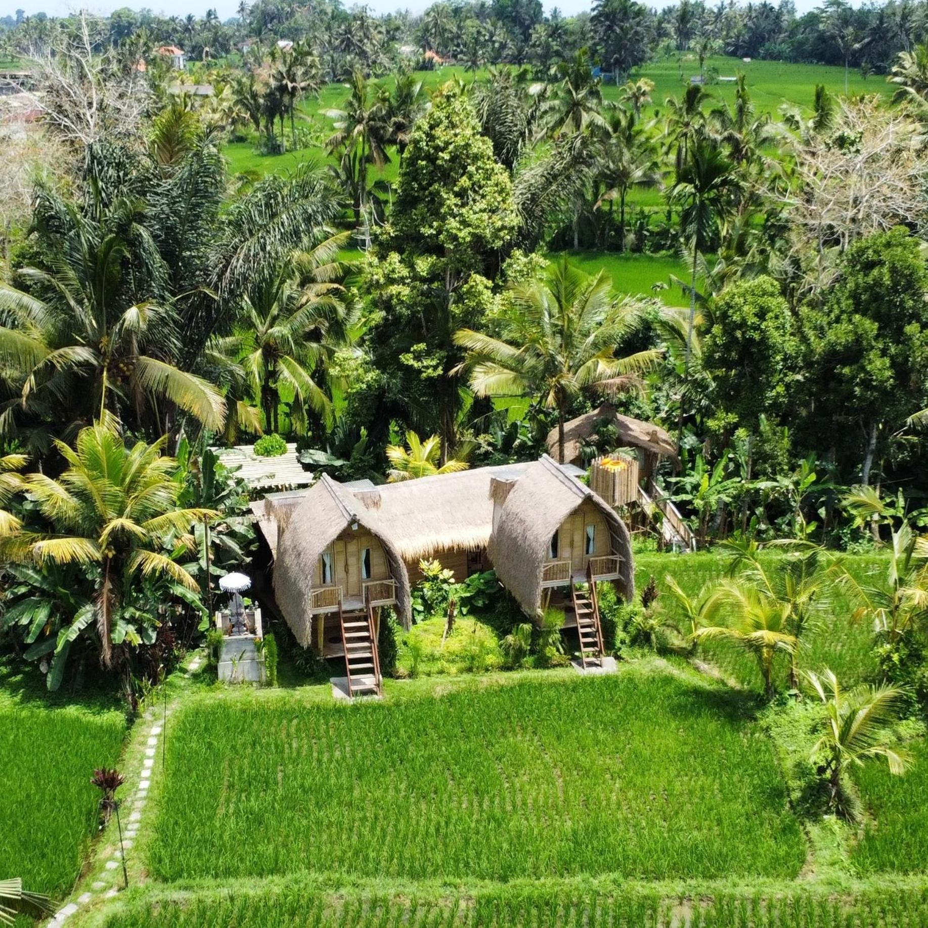 Kawig Bamboo House - Ricefield View, Eco Bamboo Home Tampaksiring Zewnętrze zdjęcie
