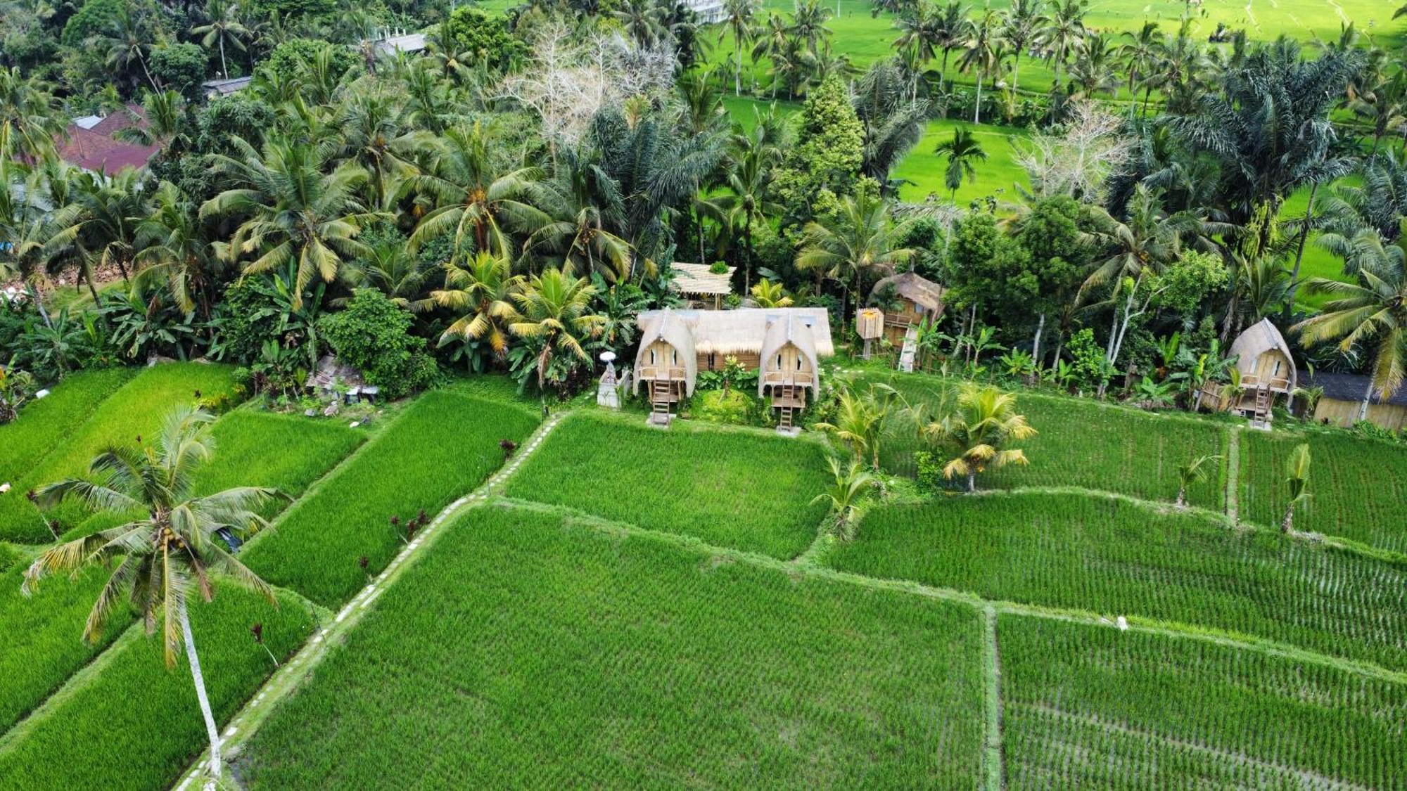Kawig Bamboo House - Ricefield View, Eco Bamboo Home Tampaksiring Zewnętrze zdjęcie