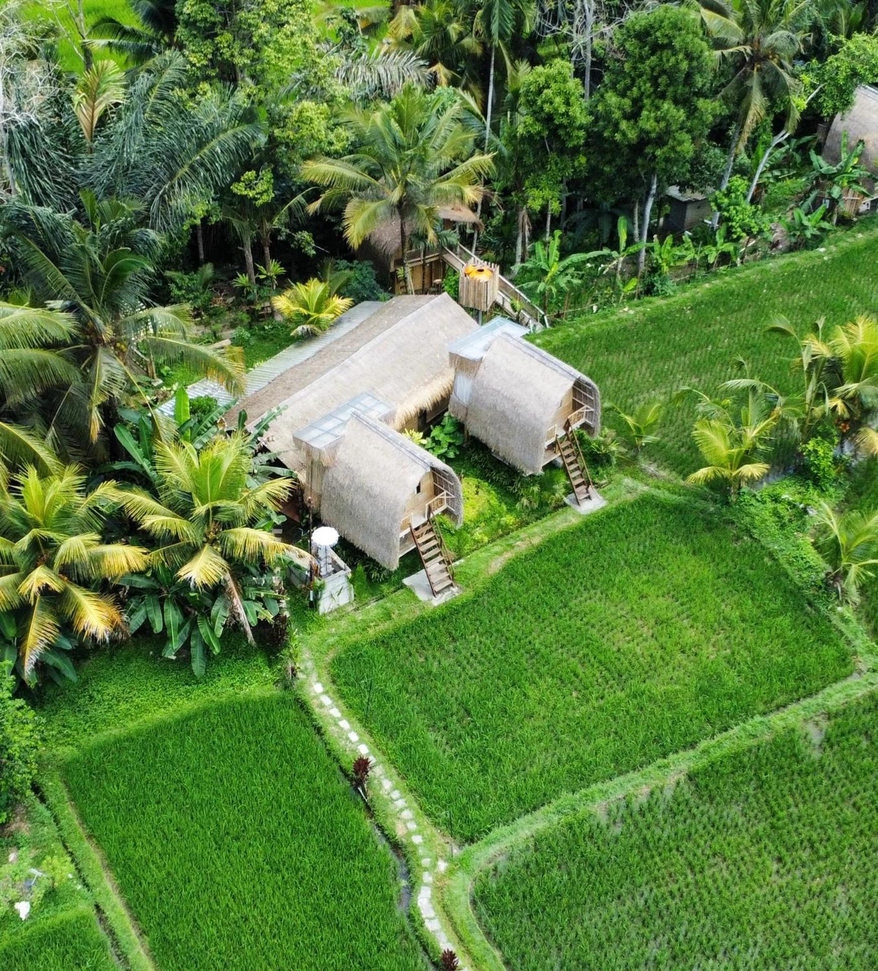 Kawig Bamboo House - Ricefield View, Eco Bamboo Home Tampaksiring Zewnętrze zdjęcie